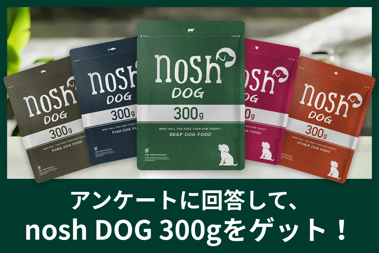nosh DOG 300g プレゼントキャンペーン