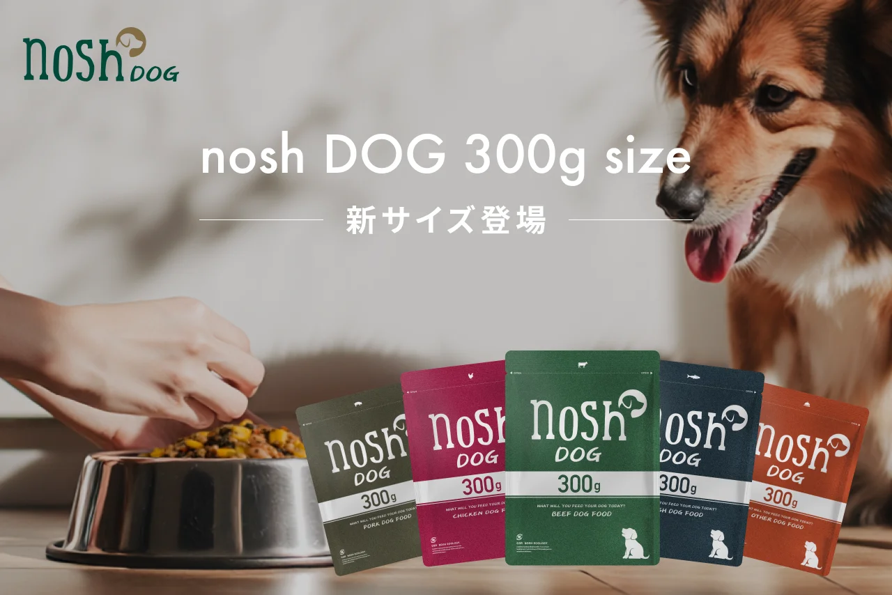 nosh DOG 300g