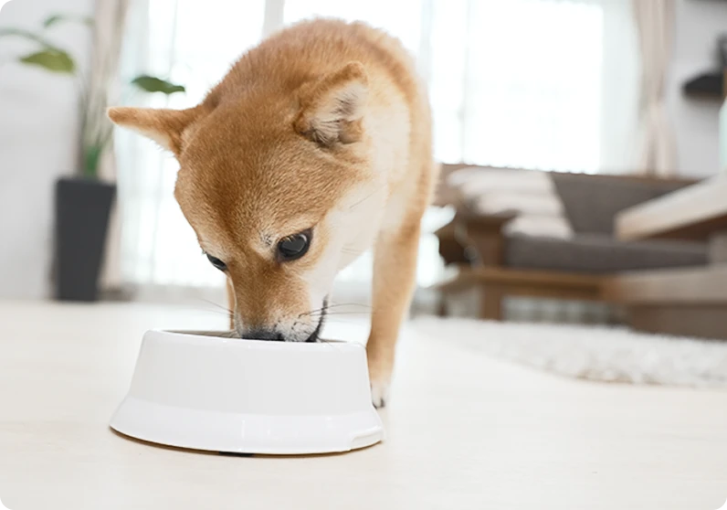 レンジで温める様子の画像