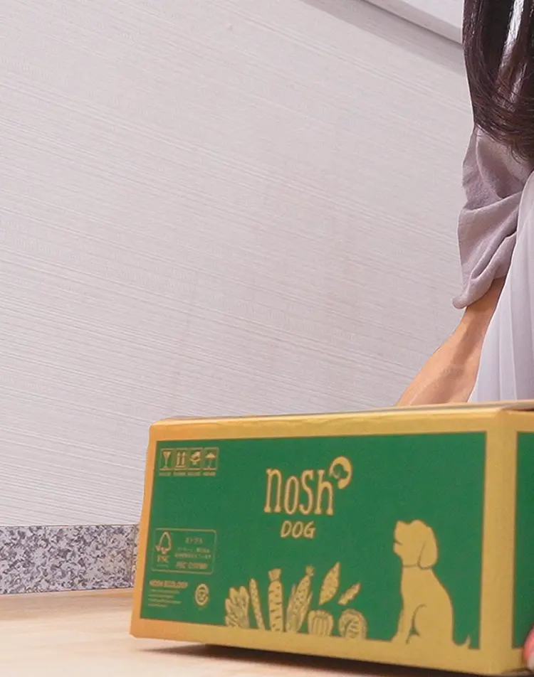 ナッシュマットドッグ101L