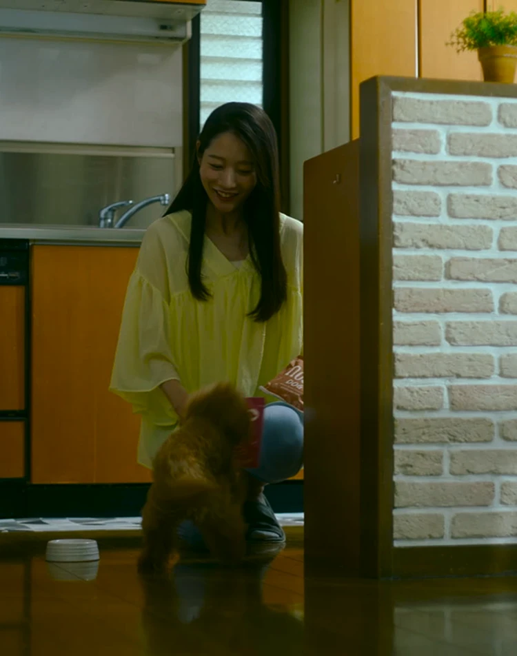 愛犬のための健康で安心できる食事 | nosh DOG（ナッシュドッグ）